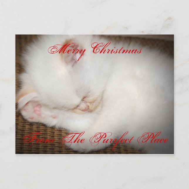 Cartes Pour Fêtes Annuelles zazzle, Merry ChristmasFrom The Purrfect Place (Devant)