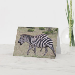 Cartes Pour Fêtes Annuelles zèbres pour toujours