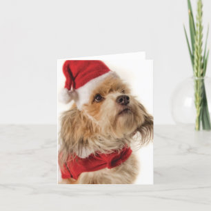 CARTES POUR FÊTES ANNUELLES ZOE SANTA