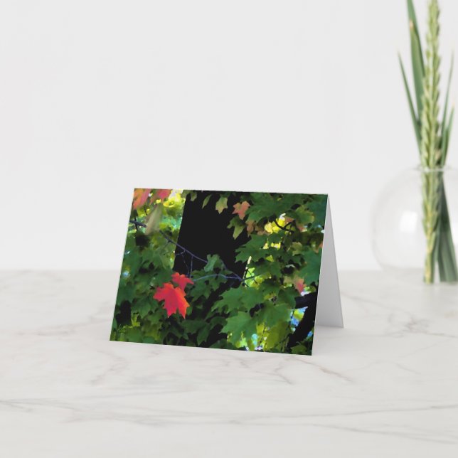 Cartes pour notes d'automne d'août (Devant)
