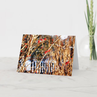 Cartes pour notes de baie d'hiver