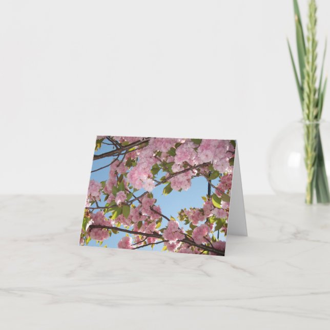 Cartes pour notes de fleurs de cerisier (Devant)
