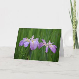 Cartes pour notes de fleurs de lavande