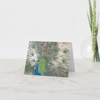 Cartes pour notes de paon