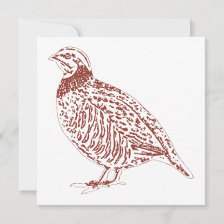 Cartes pour notes de perdrix