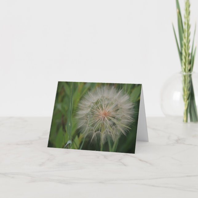 Cartes pour notes de pissenlit (Devant)