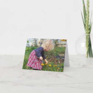 Cartes pour notes de pissenlits de cueillette