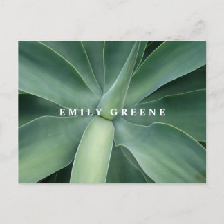 Cartes pour notes succulents
