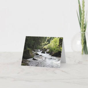 Cartes pour notes vierges des forêts et des cours