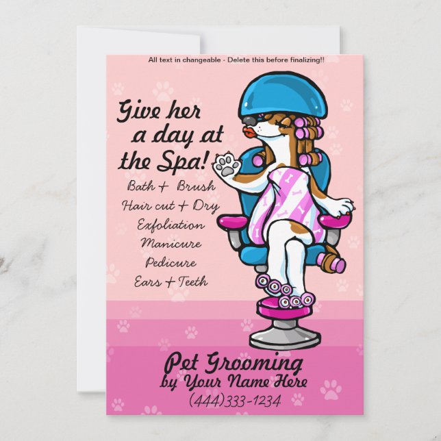 Cartes publicitaires professionnelles pour toilett (Devant)