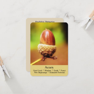 Cartes Rituelles, Divination et Guérison - Acorn