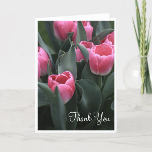 Cartes roses de Merci de tulipe