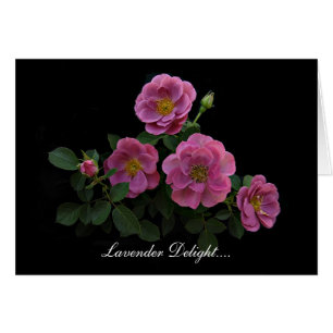 Cartes roses par Stan le Roseman