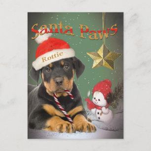 Cartes Rottweiler Puppy Père Noël Paws