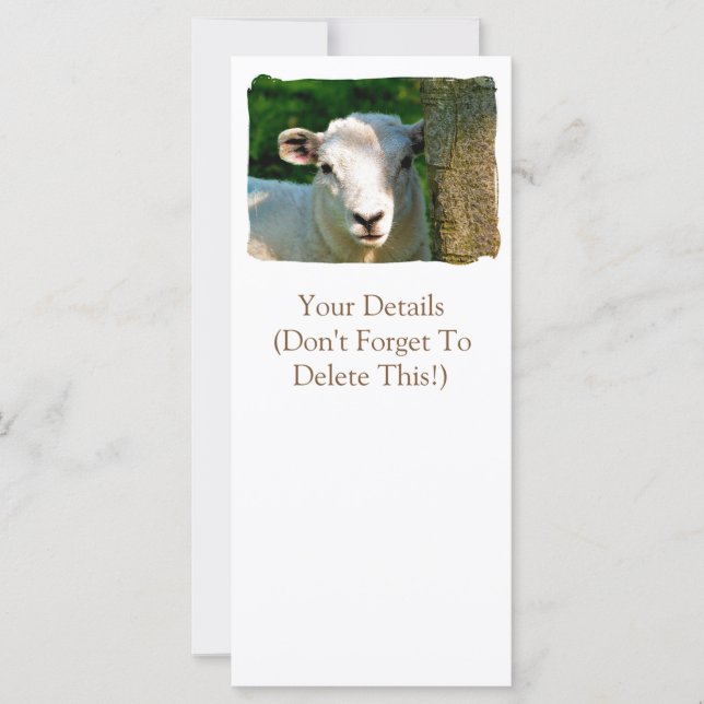 CARTES SHEEP (Devant)