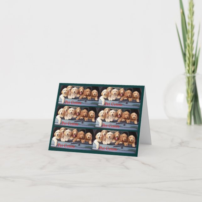 Cartes signet (Devant)