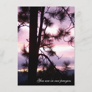 Cartes Sunset Sympathy