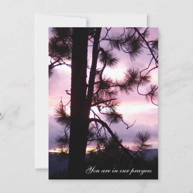 Cartes Sunset Sympathy (Devant)