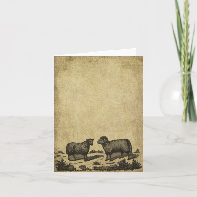 Cartes tirées à quatre épingles de moutons et de (Devant)