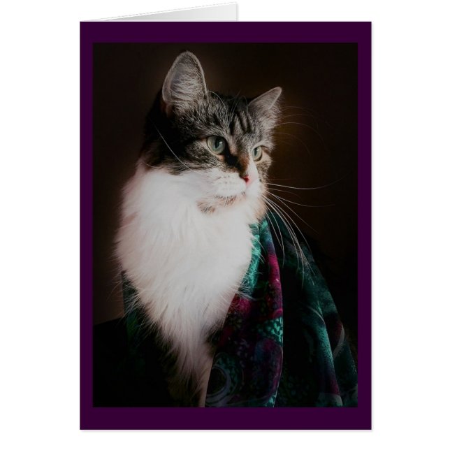 Cartes vierges de chat élégant (Devant)