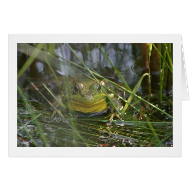 Cartes vierges de grenouille de Taureau (Devant horizontal)