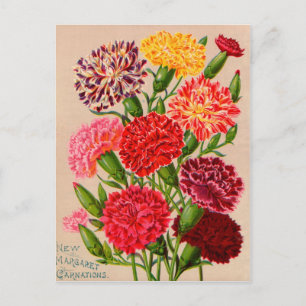 Cartes vintages, Postage et Cadeaux