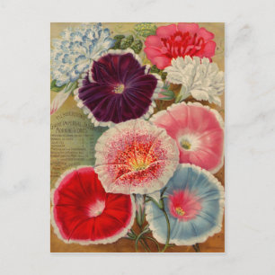 Cartes vintages, Postage et Cadeaux