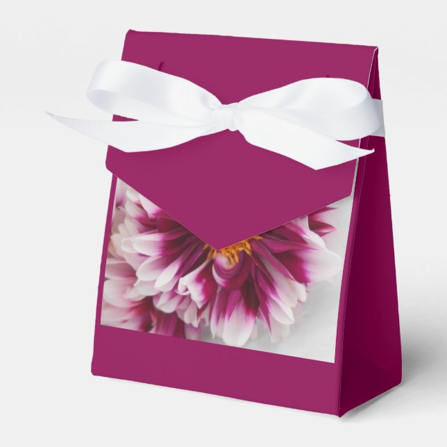 Cartheuserin Favor Box (Front Side)