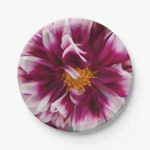 Cartheuserin Paper Plate