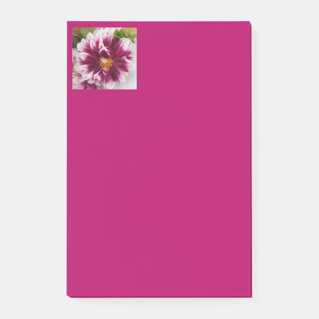 Cartheuserin Post-it Notes (Front)