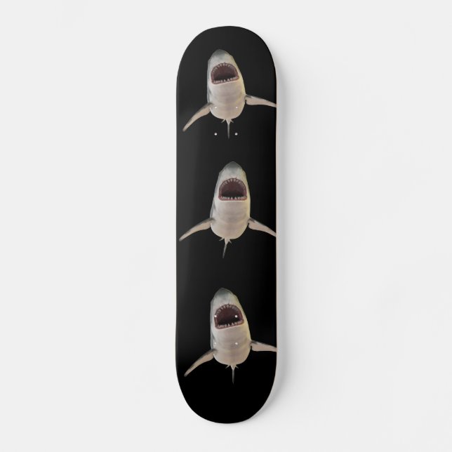 CARTON DE SKATEBOARD SHARK SHARK (Recto)
