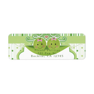 Carton d'invitation pour Baby Shower pour jumelles
