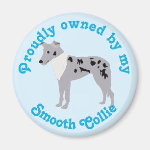 Carton Smooth Collie Merle Magnet