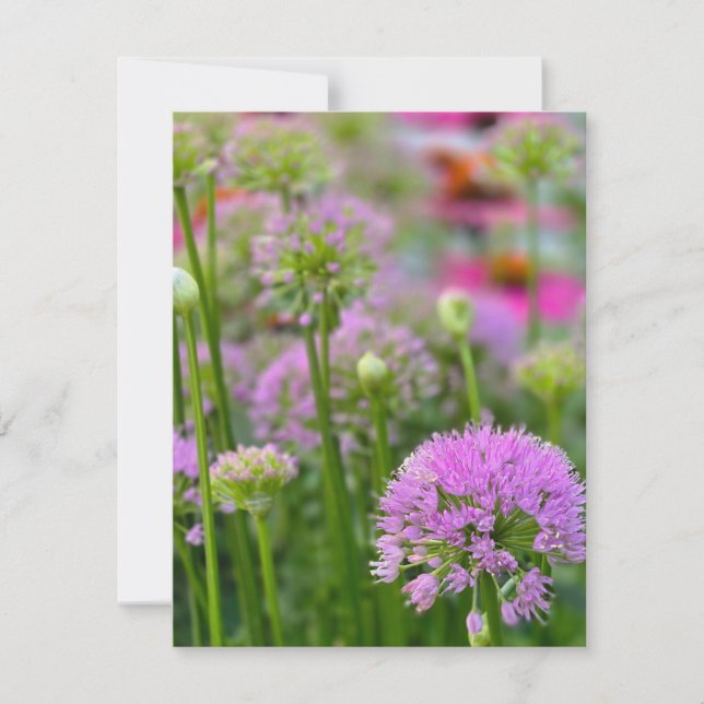 Cartons Réponse Fleurs d'été (Devant)