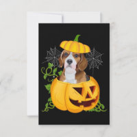 Funny Cute Pumkin