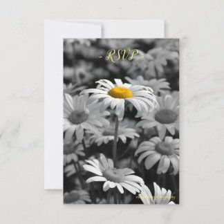 Cartons Réponse Marguerite jaune dans une mer de marguerites noire