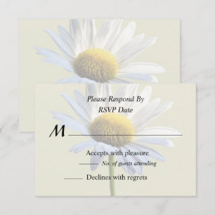 Cartons Réponse Ombre et Lumière de marguerite