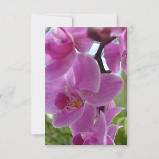 Cartons Réponse Orchidée rose R.S.V.P. (Devant)