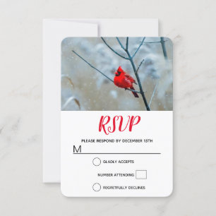 Cartons Réponse Red Cardinal dans Winter Nature Photo de Christmas