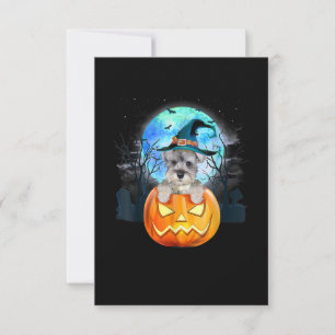 Cartons Réponse Schnauzer Dog Witch Casquette Halloween Citrouille