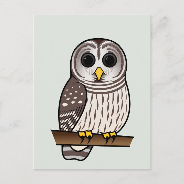 Cartoon Barred Owl Postcard (Front)