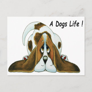 Cartoon Basset Hound, A Dog's Life Postcard