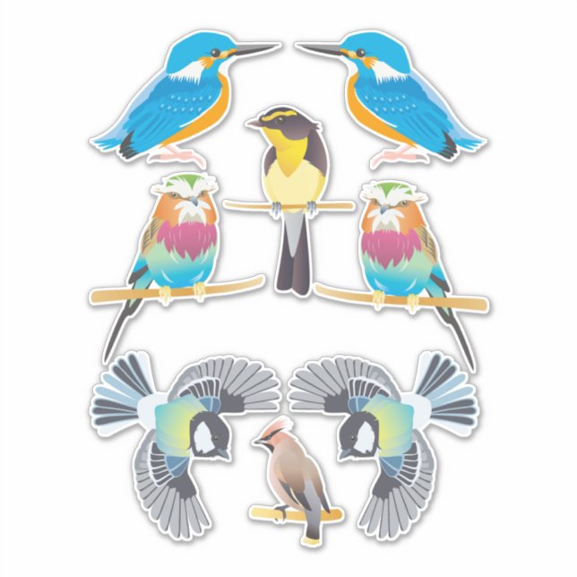Cartoon Birds Clip art animal nature (Front)