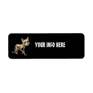 cartoon cat cute RETURN ADDRESS LABELS