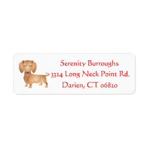 Cartoon Dachshund Chien Chien Chien Brown Personna