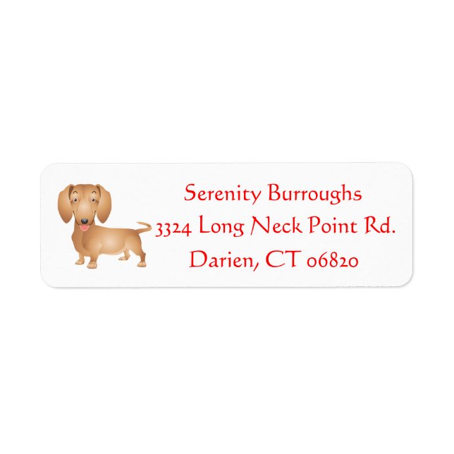 Cartoon Dachshund Chien Chien Chien Brown Personna (Devant)