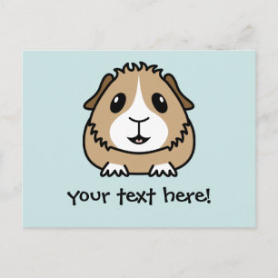Cartoon Guinea Pig Postcard
