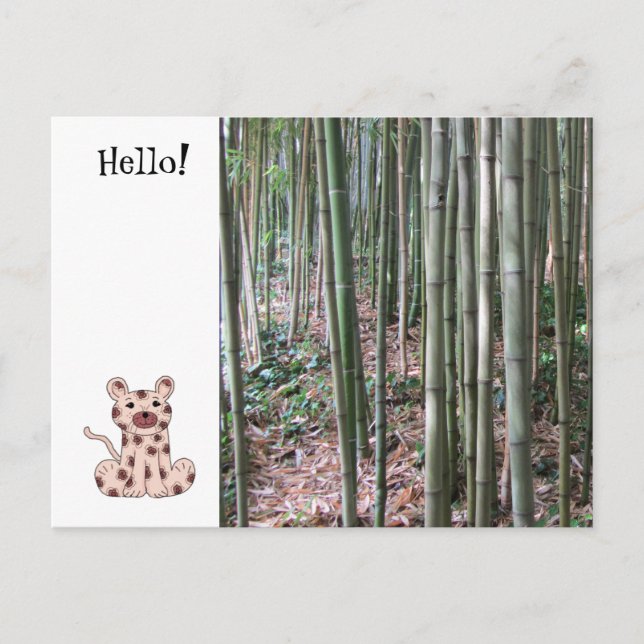 Cartoon Leopard and Bamboo Forest Postcard (Front)