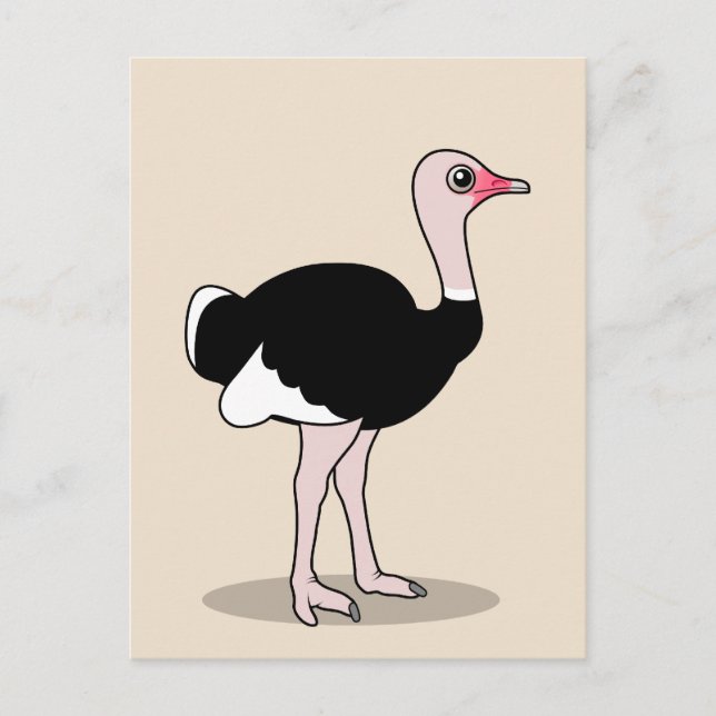 Cartoon Ostrich Postcard (Front)