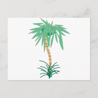 Cartoon Palm Tree Postcard